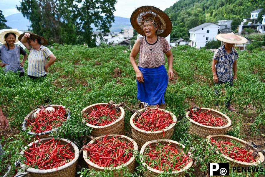 Buzzwords on China