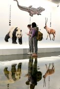 Museum sheds light on giant pandas