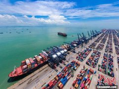 China's foreign trade to maintain strong growth momentum in 2021: analysts