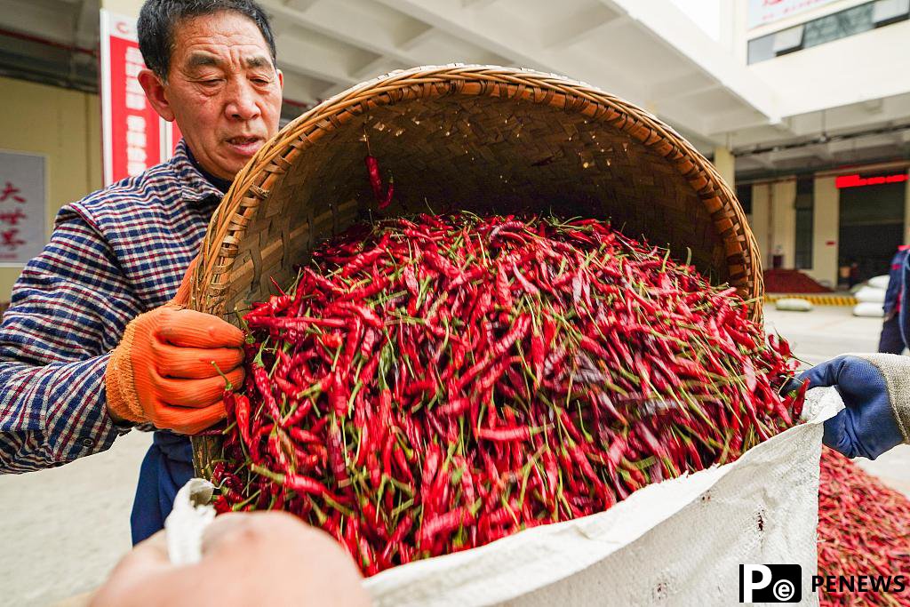 A brief travel guide to SW China