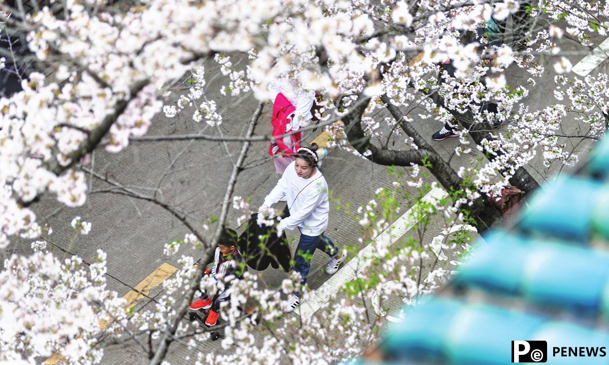 One year after outbreak, medics from around the country return to Wuhan to enjoy cherry blossoms