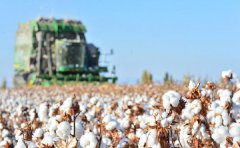 E-commerce sites pull HM products after company's Xinjiang statement