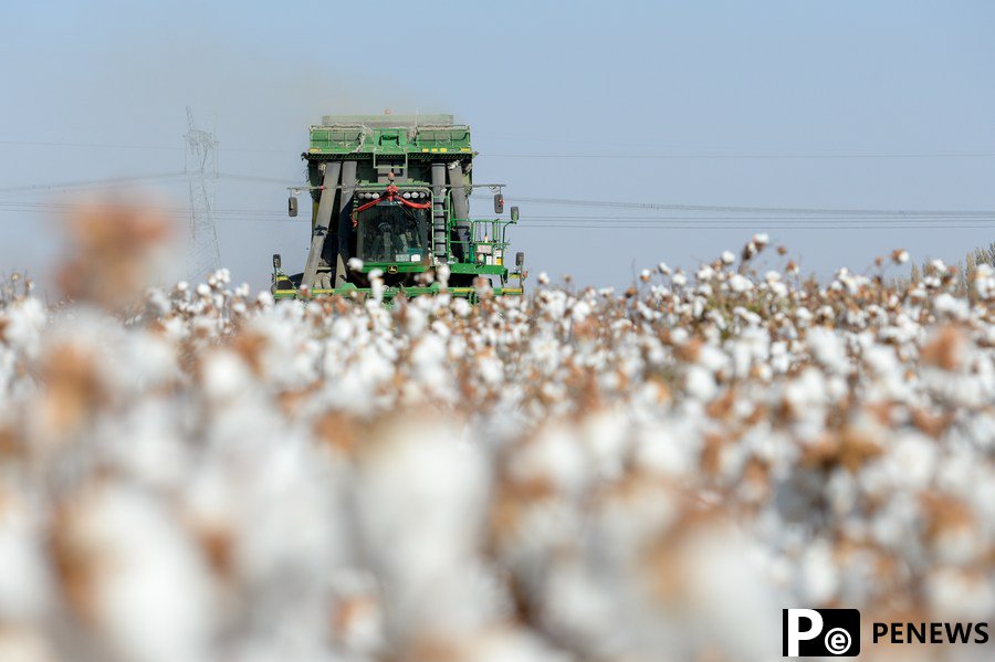 No single case of forced labor found in Xinjiang: BCI Shanghai office