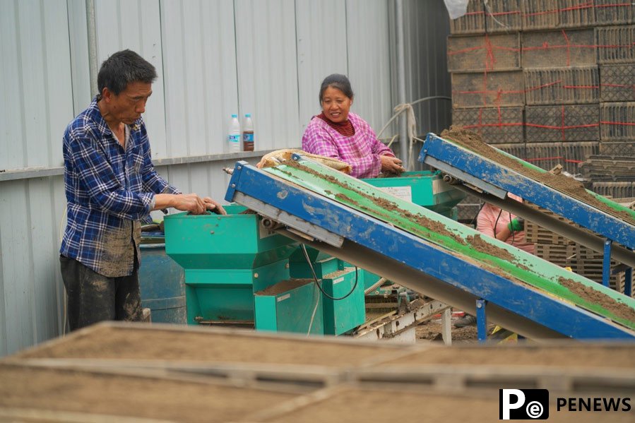 Professional farmers in SW China make spring farming intelligent