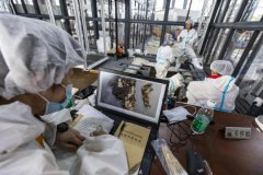 Museum showcases vital clues to past