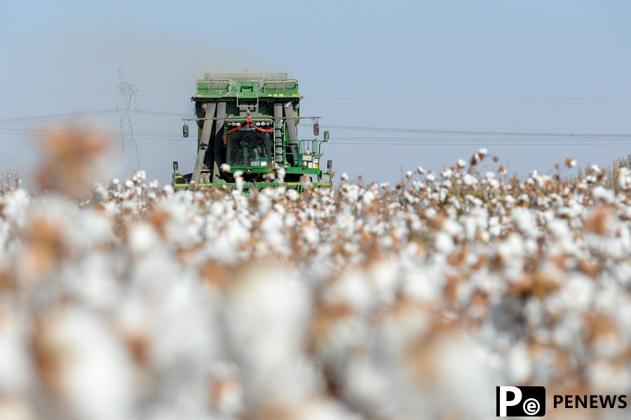 U.S. smear campaign against Xinjiang reveals true face of hegemony