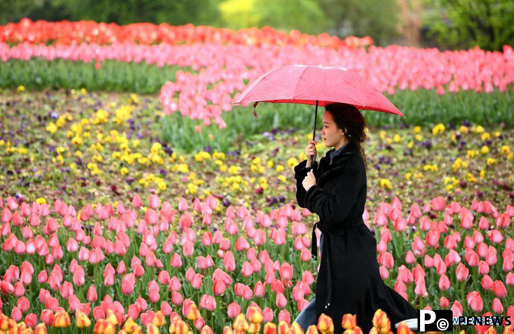 29th spring flower show kicks off at Xi