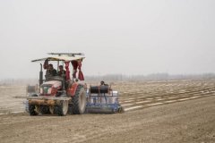  Ban on Xinjiang cotton called anti-China ploy