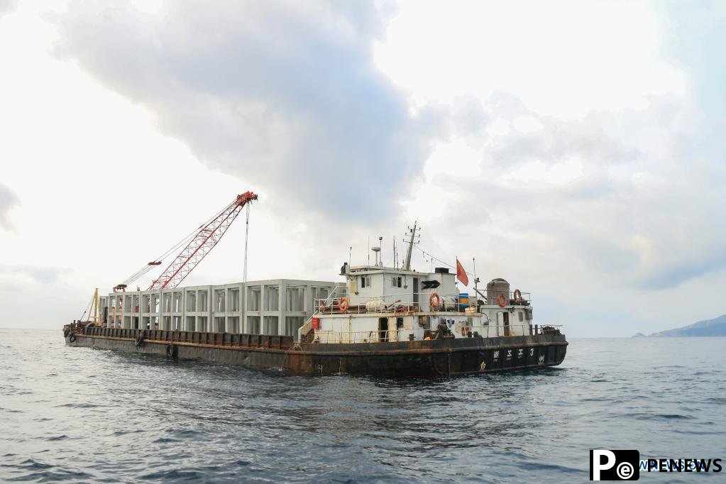 Artificial reefs placed to improve marine ecology in S China