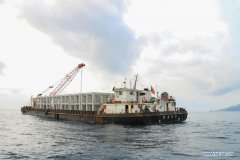 Artificial reefs placed to improve marine ecology in S China's Sanya