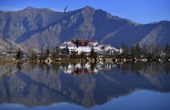 National virus diagnosis platform settles in China's Tibet
