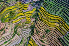Villages in E China turn tourism resources into fortune, embrace vitalization