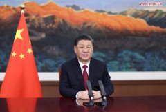 Xi says BRI a public road open to all, not private path