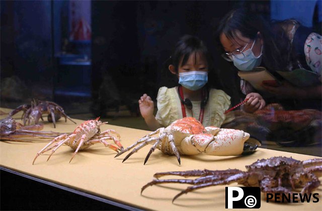  Crab, shrimp, lobster form heart of Guangdong exhibition