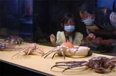  Crab, shrimp, lobster form heart of Guangdong exhibition
