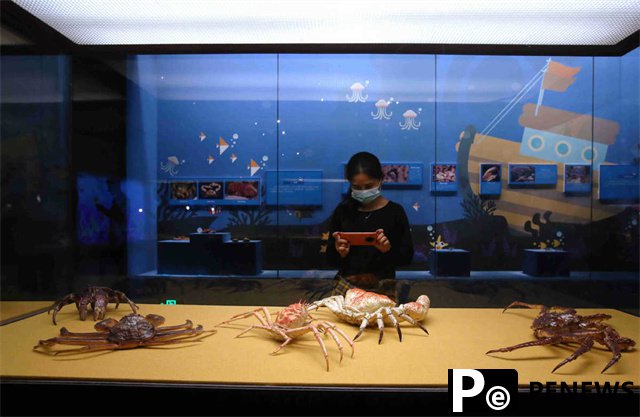  Crab, shrimp, lobster form heart of Guangdong exhibition