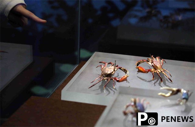  Crab, shrimp, lobster form heart of Guangdong exhibition