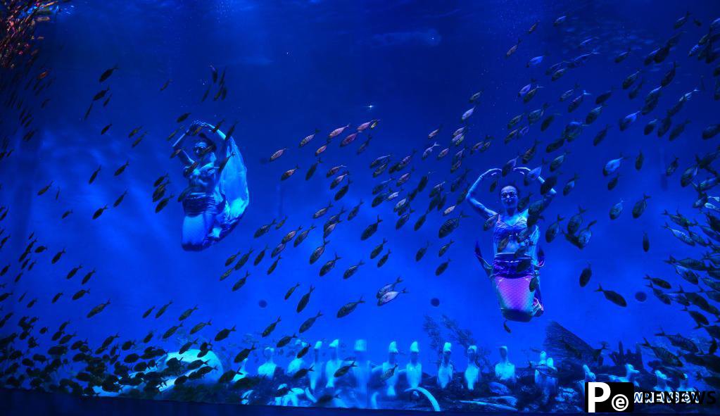 Ukrainian artists stage performances at Hefei Aquarium, Anhui