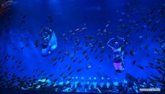 Ukrainian artists stage performances at Hefei Aquarium, Anhui