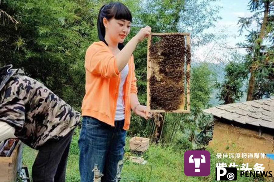 Young Chinese woman wins praise for helping villagers increase their income by developing a local bee breeding industry