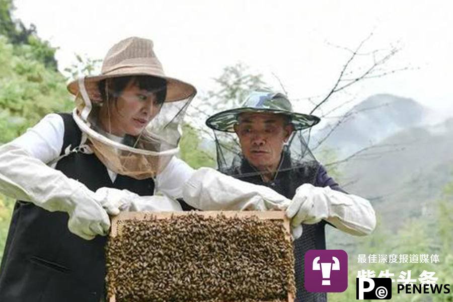 Young Chinese woman wins praise for helping villagers increase their income by developing a local bee breeding industry