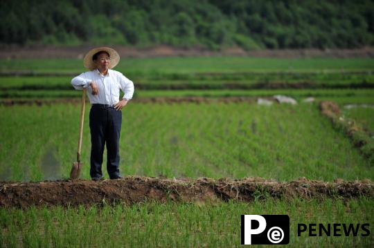  Pencil town erases past to profit from paddies