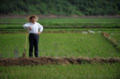  Pencil town erases past to profit from paddies