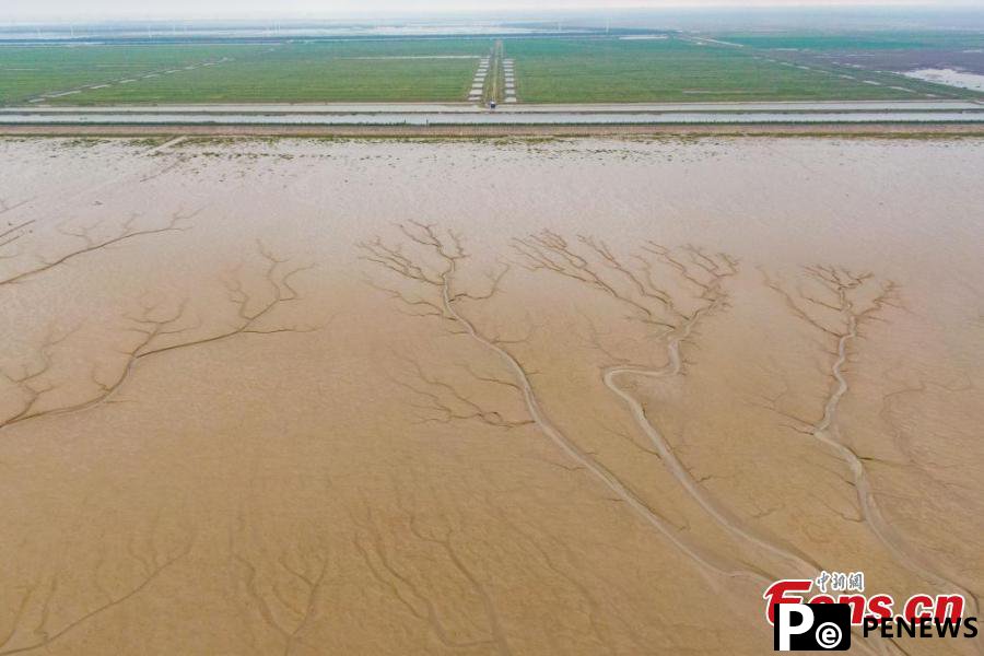 Tiaozini Wetland shows harmonious coexistence of human and nature