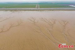 Tiaozini Wetland shows harmonious coexistence of human and nature