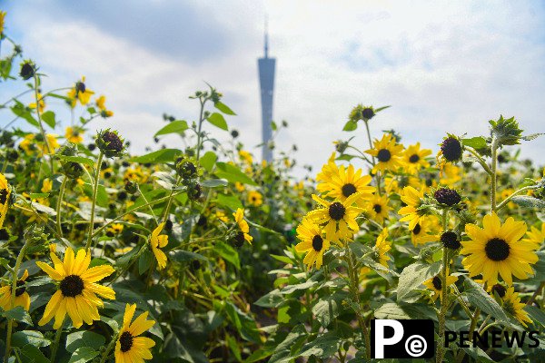  Guangzhou