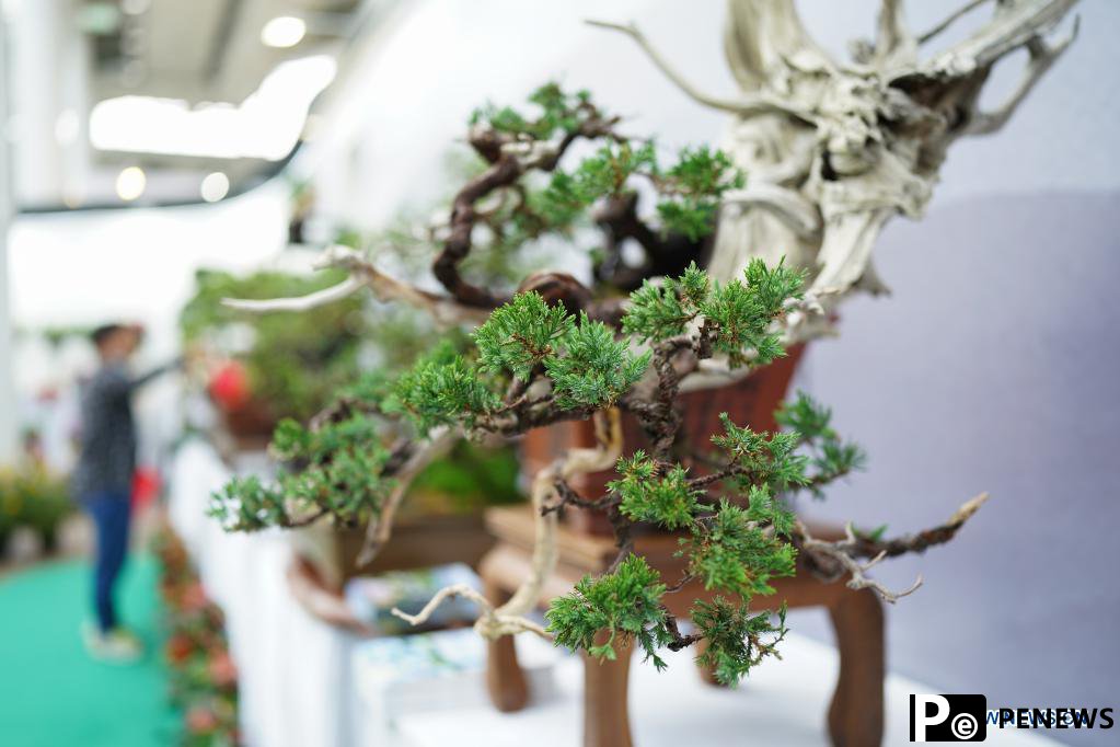 Flower expo opens in Shanghai