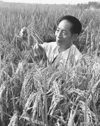  Father of hybrid rice Yuan Longping dies at 91