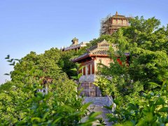 Greening Wangwu Mountain in central China