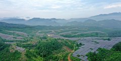 Installed capacity of renewable energy rises steadily in China