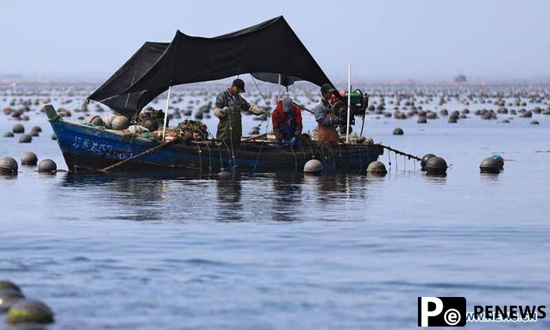 US mounts ‘forced labor’ lies on fishing firm to serve strategy of containing China following attack on Xinjiang industries