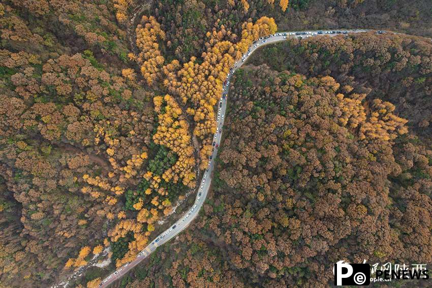 Picturesque autumn in Qinling Mountains