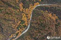 Picturesque autumn in Qinling Mountains