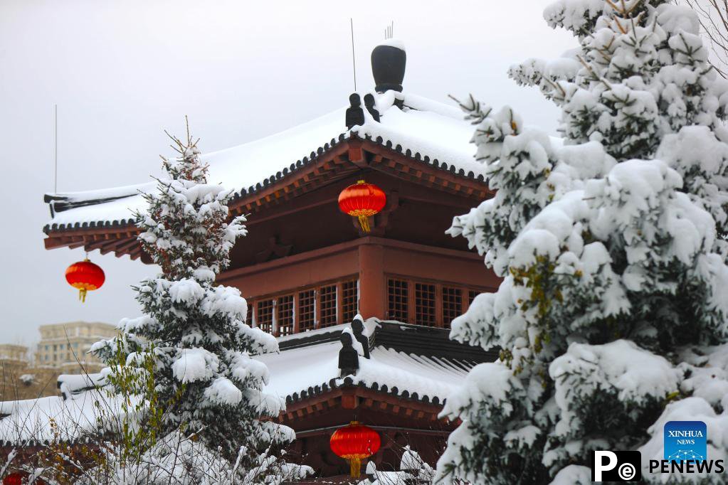 Snow scenery in Shenyang, NE China