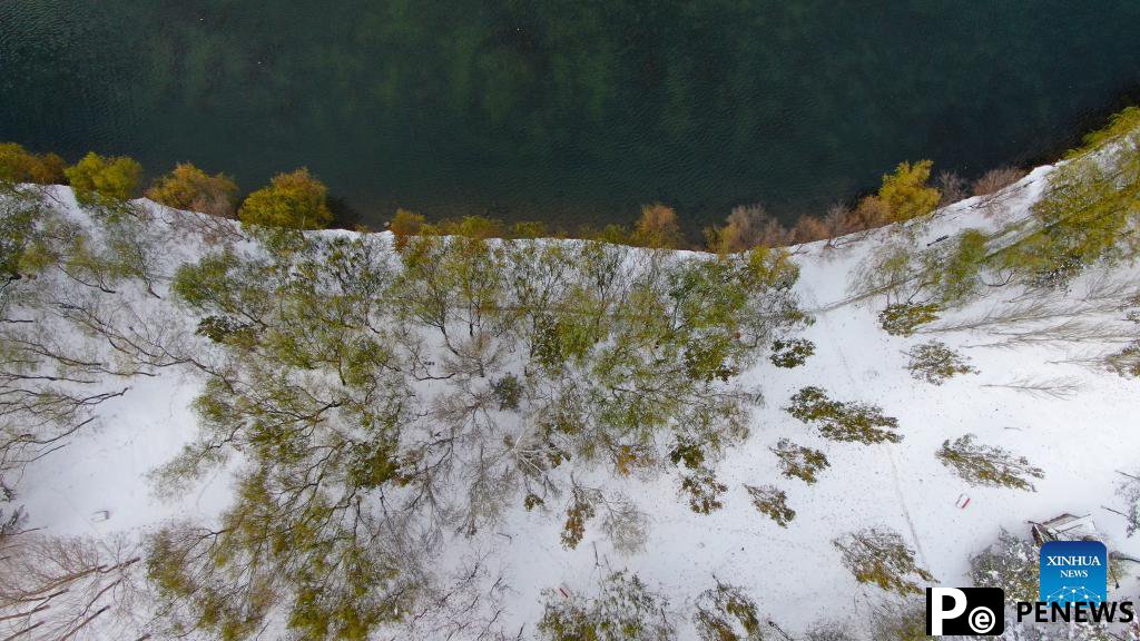 Snow scenery in Shenyang, NE China