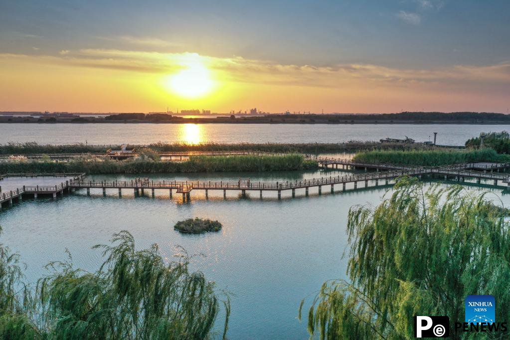 Yangtze River takes on new look in Jiangsu