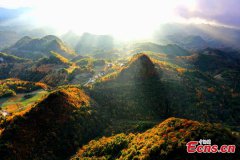 Red Autumn scenery of immense forests in Sichuan