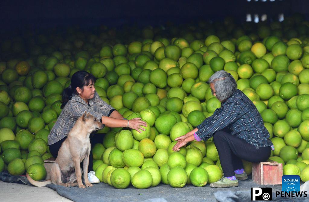 E-commerce companies in Guangxi prepare for upcoming Double Eleven online shopping festival