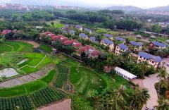 Shared homestay business booms in Hainan