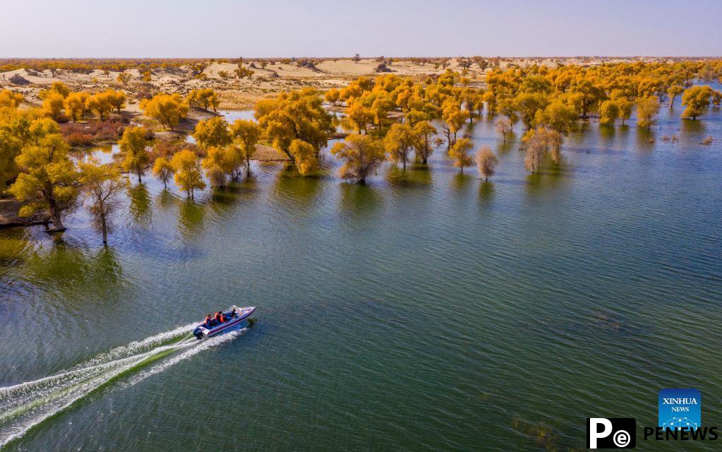 Scenery of Lop Nur National Wetland Park in Yuli, Xinjiang