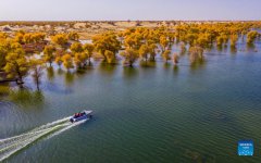 Scenery of Lop Nur National Wetland Park in Yuli, Xinjiang