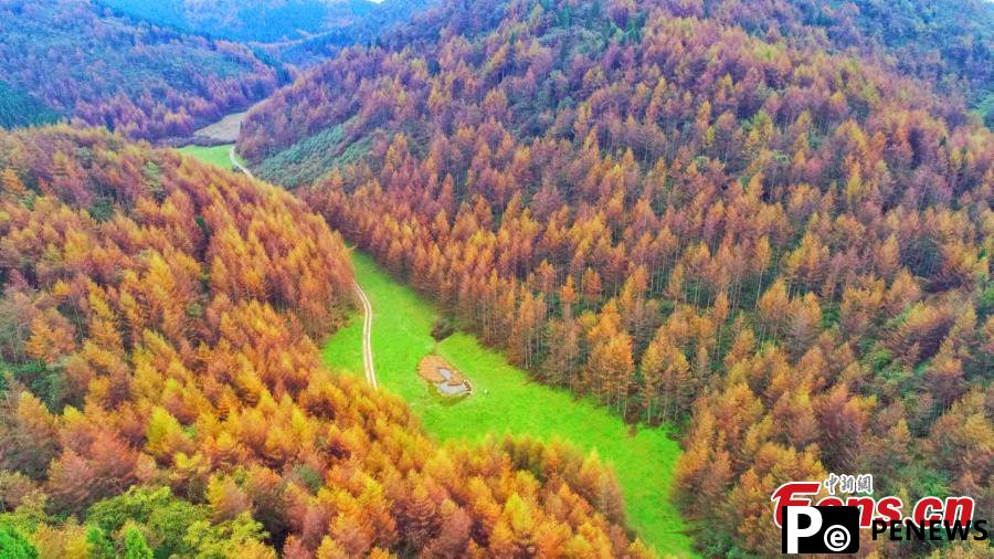 Autumn scenery of Enshi Grand Canyon