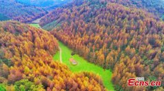 Autumn scenery of Enshi Grand Canyon