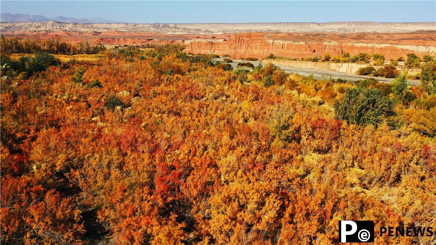 Autumn scenery of Red River Valley in NW China