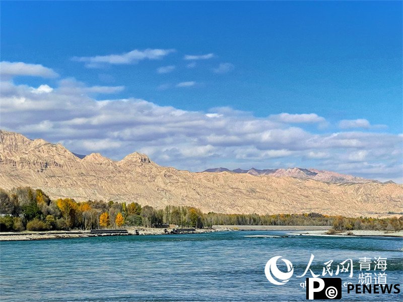In pics: picturesque autumn scenery along Yellow River in NW China’s Qinghai
