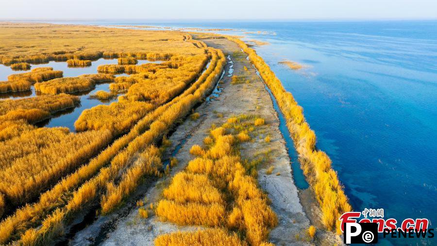 Autumn view of Bosten Lake in Xinjiang